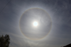 20240414_Halo_HW_1925-01