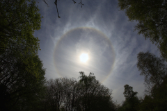 20240414_Halo_HW_1935-01
