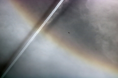 22-Deg-Solar-halo_Diane Clarke
