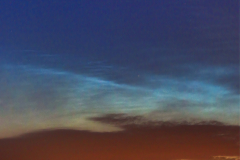 Diane-Clarke-5th-July-2022-at-2.37-to-3.40am-NLC-Capella-M45r