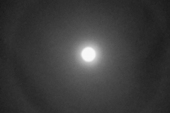 Gary-WhatsApp-Image-Lunar-Halo-2022-03-15-at-11.32.27-PM