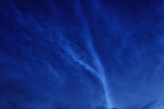Honor-Wheeler-NLC-6th-July-2022-Early-Morning-4
