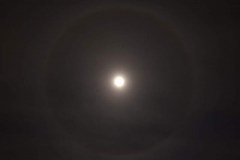 Jims-Lunar-Halo-WhatsApp-Image-2022-03-15-at-9.20.03-PM