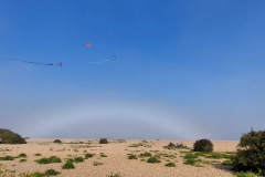 Kevin-Smith-Fog-Bow-WhatsApp-Image-2023-05-07-at-17.27.34