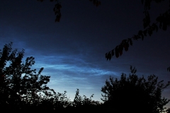 NLC_SD01