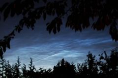 NLC_SD02
