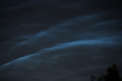 NLC_SD03