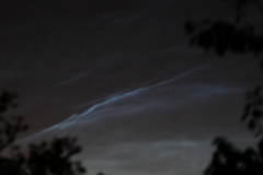 NLC_SD04