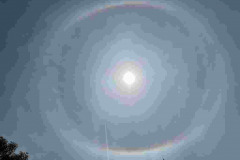 SCohen-Sun-Halo-plus-11th-July-2022-WhatsApp-Image-2022-07-11-at-9.10.58-PM