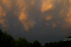 Mammatus Clouds
