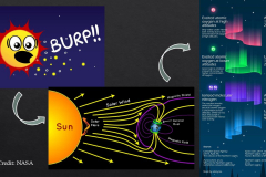 Slide5