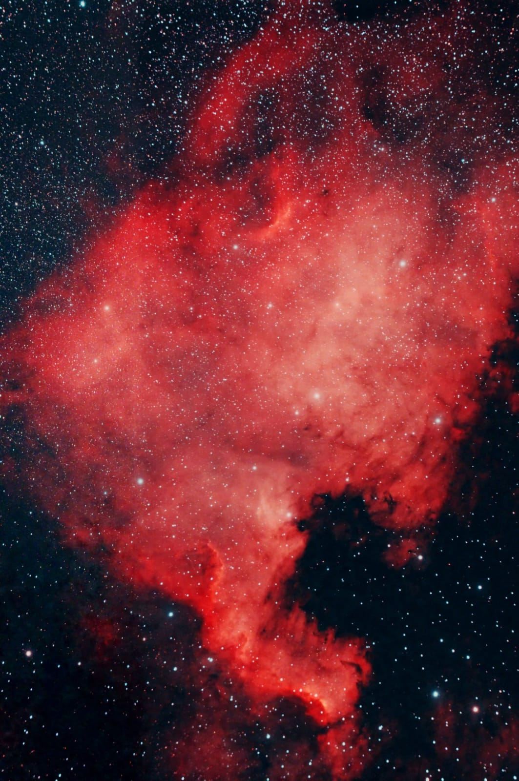 Kevin-Langford-North-America-Nebula-WhatsApp-Image-2022-09-25-at-5.30.53-PM