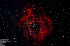 NGC 2237 Rosette Nebula KL