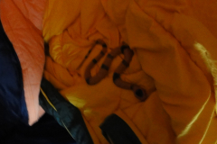 KHApril2015DSC03764s