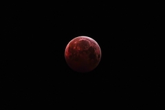 LunarEclipse2019-01-21LeighSlomer_PPhoto_1548286223576