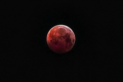 LunarEclipse2019-01-21LeighSlomer_Photo_1548286223273