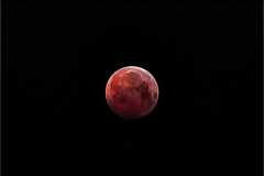 LunarEclipse2019-01-21LeighSlomer_Photo_1548286223856