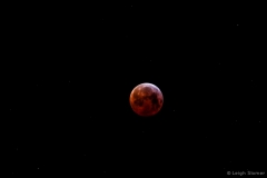 leigeSlomerbloodmoon#2