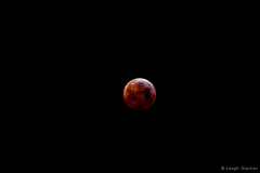 leigeSlomerbloodmoon#3