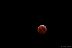 leigeSlomerbloodmoon#4