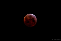 leigeSlomerbloodmoon#5