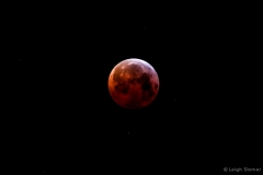 leigeSlomerbloodmoon#6