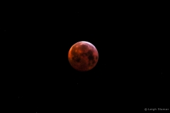 leigeSlomerbloodmoon#7