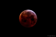 leigeSlomerbloodmoon#9