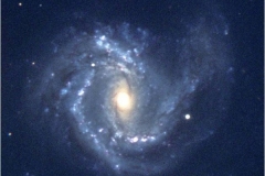 M61_DH01