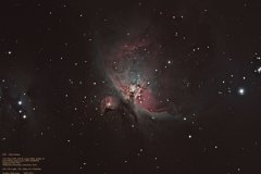 Neil Webster Orion Nebula M42  2