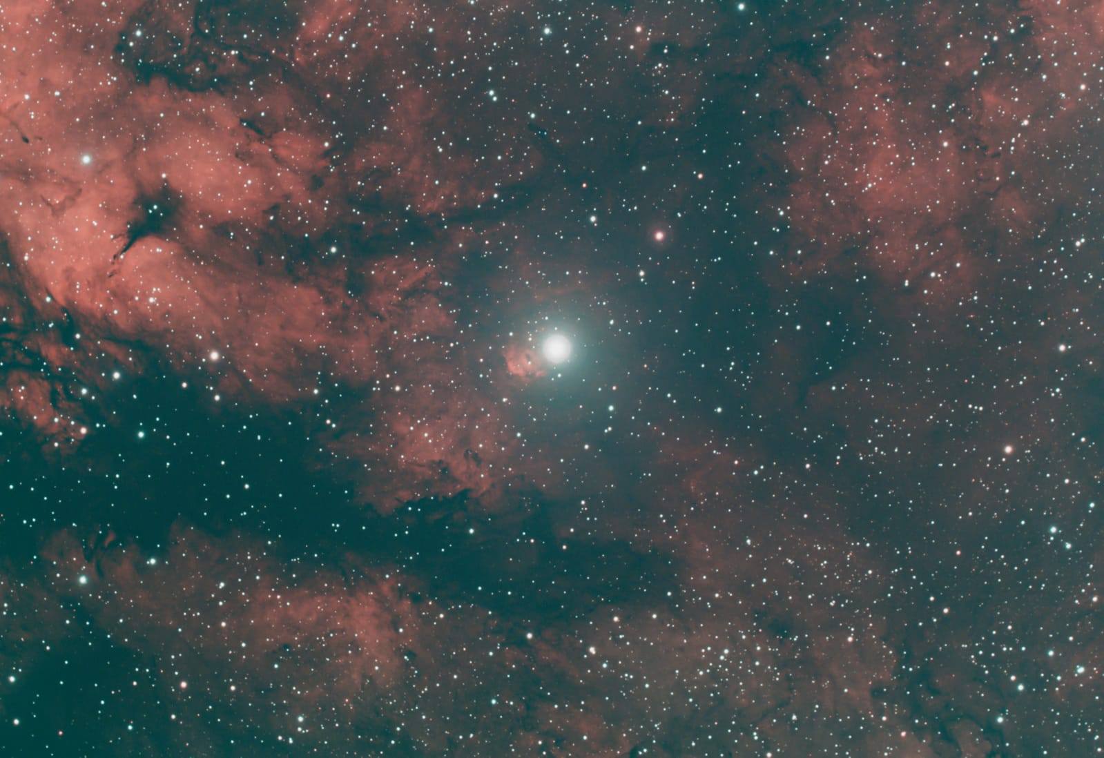 Neil-Webster-H-Alpha-nebulosity-surrounding-the-star-Gamma-Cygni-Sadr-WhatsApp-Image-2022-10-21-at-9.39.44-AM