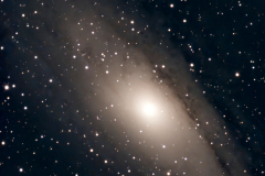 M 31