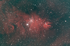 1_Neil-Webster-NGC2544-WhatsApp-Image-2022-02-25-at-09.08.20