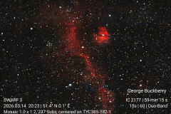 IC2177-Seagull-Nebula-Mosaic-14Mar26