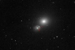 Simon-Dawes-Supernova-WhatsApp-Image-2022-04-25-at-12.34.58-PM-cropped