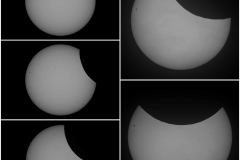 PE-HWheeler-20250329Eclipse_HW224242-1