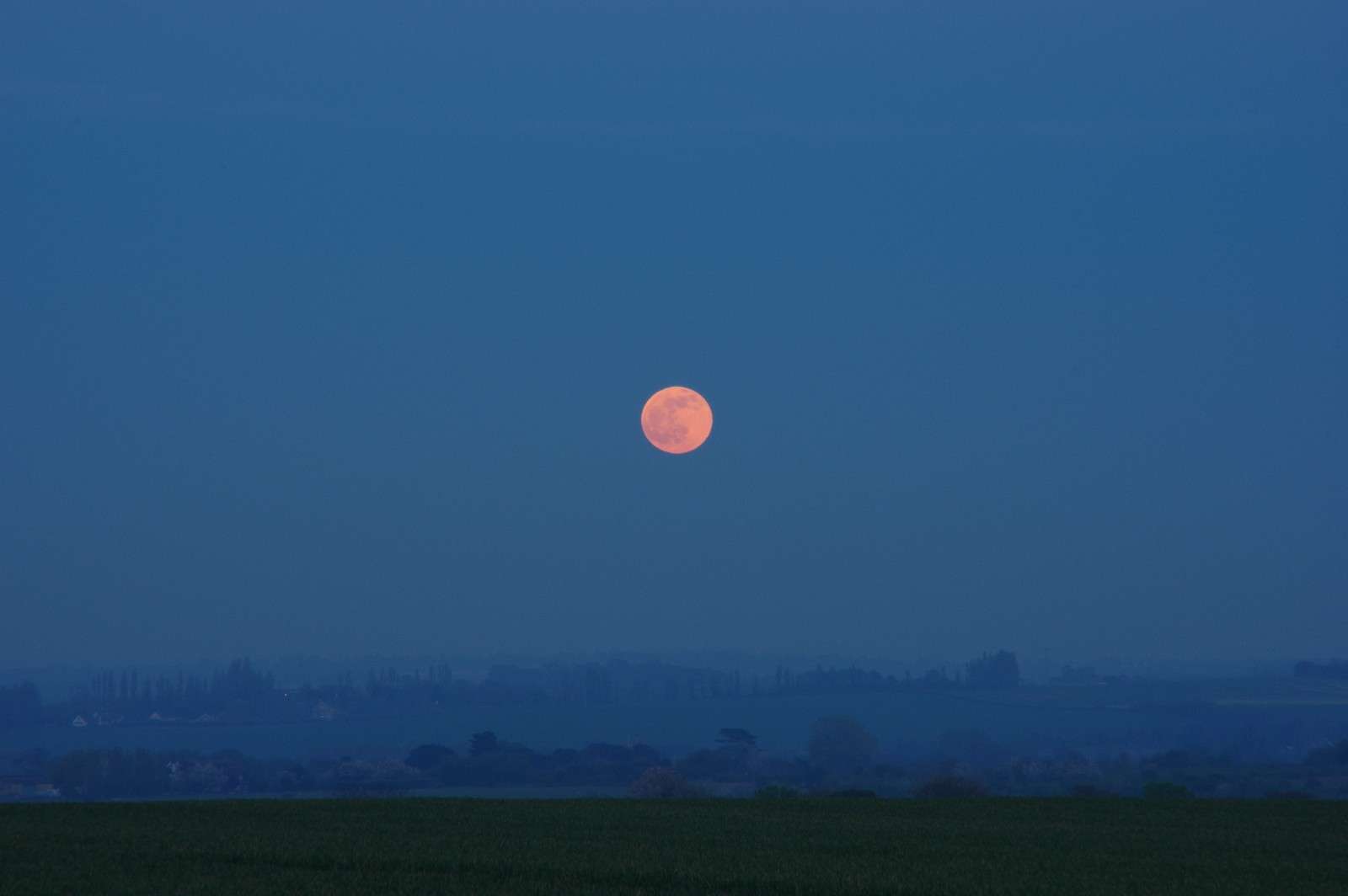Jim-Burchell-Pink-Moon-16th-April-2022-WhatsApp-Image-2022-04-17-at-8.22.05-AM
