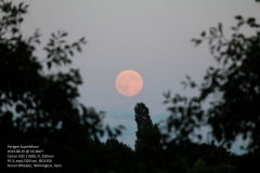 20140810 hw19.28UTPMoon