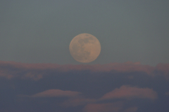 20240324_HW_FMoonrise_1855-01-1