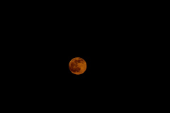 Diane-Clarke-Pink-Moon-16th-April-2022-WhatsApp-Image-2022-04-16-at-9.31.13-PM