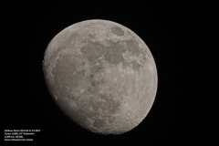 Gallery_HonorWinchester20140411Moon