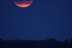 H-Wheeler-Full-Moon-20230929HW_1158FullMoon