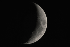HWheeler-5dayoldMoon_20231217_HW_1493-01