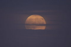 HWheeler-Hunters-Moon-17th-Oct-2024