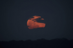 Honor-Wheeler-Full-Moon-7th-March-2023-WhatsApp-Image-2023-03-07-at-20.29.27