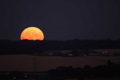 Honor-Wheeler-Full-Moon-Rising-11th-Aug-2022-No.2