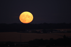 Honor-Wheeler-Full-Moon-Rising-11th-Aug-2022-No.3