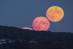 Honor-Wheeler-Moonrise-9th-Oct-2022