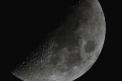 Honor-Wheeler-The-Moon-12th-Dec-2022