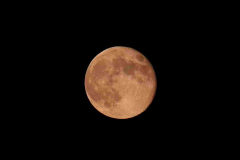 JBurchell-Moon-28th-Nov-2023-WhatsApp-Image-2023-11-28-at-18.07.35